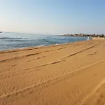 Ammari